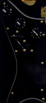 blackstrat2 (151 x 339).jpg